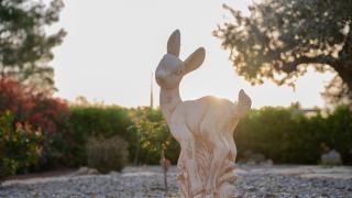Trulli Magnolia - Putignano - 3