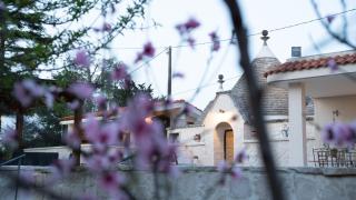 Trulli Magnolia - Putignano - 7