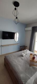 el greco apartment - 3