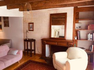 charme et confort au coeur du vieux Tours - Tours - 5