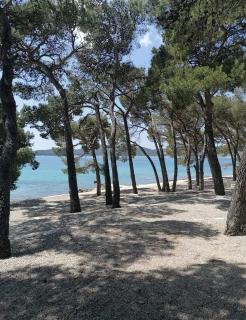 Mobile home Ami & Alen - Biograd na Moru - 6
