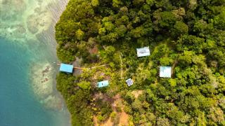 Roam Yoga & Wellness Lodge - Bocas del Toro - 7