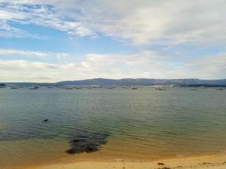 Apartamento Teresa en Vilanova de Arousa - 3