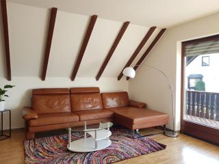 Beautiful 3 rooms apartment 110 m2, kostenloser Parkplatz, großer Balkon - Heßdorf - 2