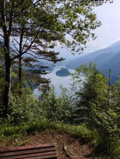 Il tuo angolino sulle Dolomiti - Calalzo - 4