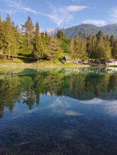 Il tuo angolino sulle Dolomiti - Calalzo - 5