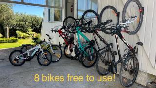 Green Tree Haven BnB-Riwaka Tasman Bay - Riwaka - 7