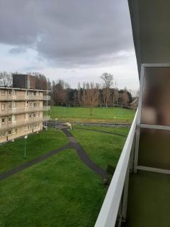 The Sweet Cocoon - 9