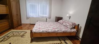 Apartman Sims - Bajina Bašta - 9