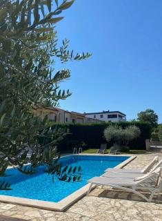 Sunny View Apartment - 0