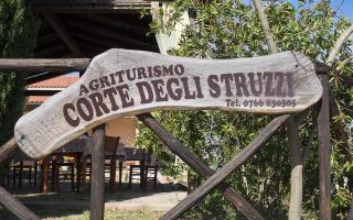 B&B Corte degli Struzzi - Pescia Romana - 6