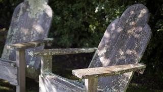Rush Cottage - Havelock North - 3