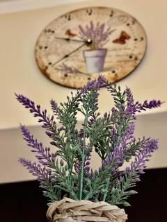 SHoliday Studio Apartament modern cu parcare gratuită în Timișoara - 7