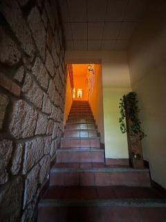 Depa céntrico en Zinapécuaro - 4