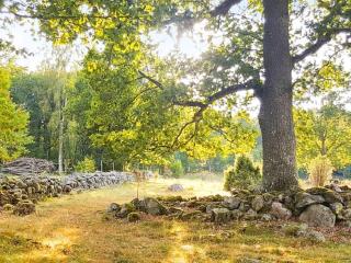 Holiday home AXVALL - Axvall - 2