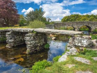 Chapel Cottage - Lydford - 3