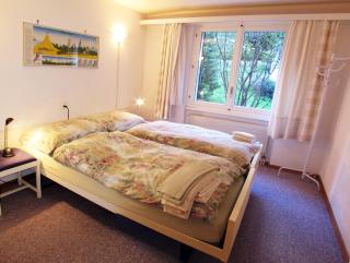 Amici - Saas-Fee - 0