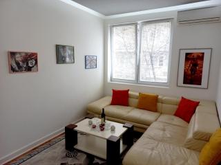 Apartment Alex - Belgrade - 3