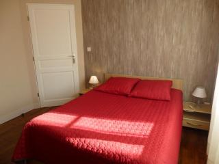 Gite de says - Champagné-Saint-Hilaire - 3