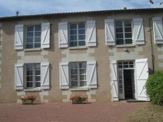 Le marronnier - Saint-Jean-de-Sauves - 0
