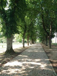 Chateau d'ayron - Ayron - 8