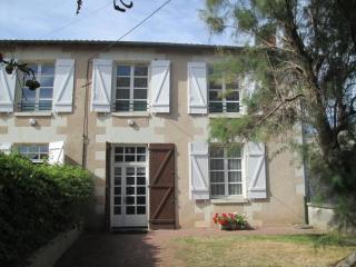Le tamaris - Saint-Jean-de-Sauves - 2
