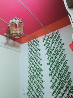 Birdnest Guesthouse, Gaia Rooftop Cafe - 9