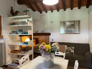 I Mandrioli, una casa immersa nella natura. - Casale Marittimo - 0