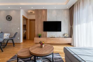 Zlatibor Apartman & SPA Pino Mons - Zlatibor - 6
