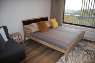 Apartmán na Zadově - Stachy - 4