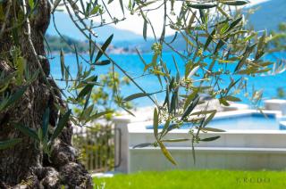 Boutique Hotel Kredo - 8