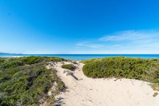 A Due Passi Dal Mare - 50mt Dalla Spiaggia - Piscina Condominiale - PMS CaseVacanze - Badesi - 3