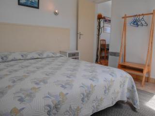 Bel appartement refait à neuf, proche commerces et plage - FR-1-418-175 - Le Palais - 5