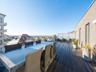 Exclusive penthouse with 2 sunny terraces - 1