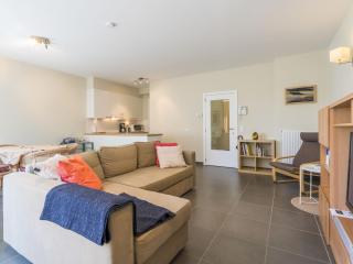 Spacious apartment with terrace - Blankenberge - 4