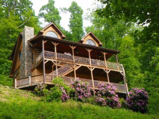 2 Cubs Cabin - Blowing Rock - 0