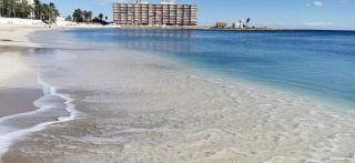 NICE 2-BEDROOMS - Torrevieja - 4