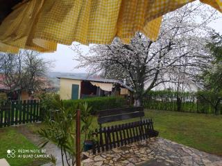 KosMaj Dan Belgrade, Sopot - 9