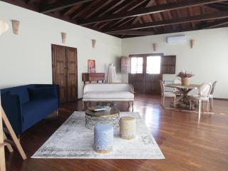 Casa del Armiño Mansión de la Familia de "El Greco" - 1