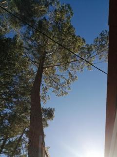 SOUS LE SOLEIL DE PROVENCE - Le Castellet - 1