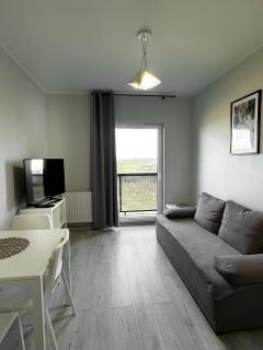 Apartament na Nowej Cukrowni - Stettin - 1