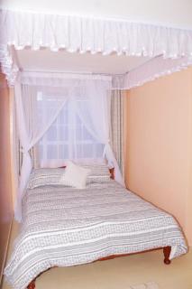 Royal Palms Executive 2& 1 bedrooms BNB Wote town - 1