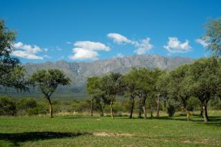 Brisas de Chacras - 8