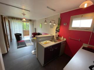 Studio calme à 2 pas de la plage avec balcon et garage - FR-1-550-17 - Saint-Georges-de-Didonne - 0