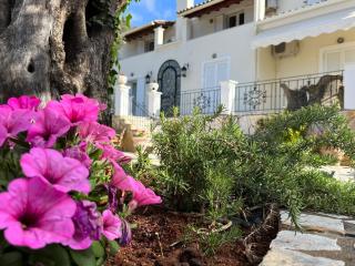 Villa Ampelaki 2 - Paleokastritsa - 0