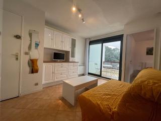 Appartement T2 avec Terrasse à 300m de la Plage de Saint-Georges-de-Didonne - FR-1-550-32 - 9