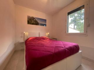 Appartement T2 avec Terrasse à 300m de la Plage de Saint-Georges-de-Didonne - FR-1-550-32 - 4