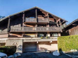 Appartement cosy avec balcon et WiFi à Chamonix - FR-1-343-203 - Chamonix-Mont-Blanc - 1