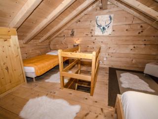 Mazot 2 étoiles avec jardin, parking et wifi - Chamonix - FR-1-343-215 - Chamonix-Mont-Blanc - 2