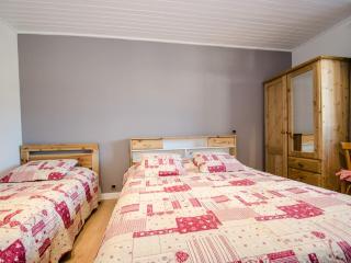 Appartement spacieux à Chamonix - 4 pers, animaux admis, parking - FR-1-343-237 - 1